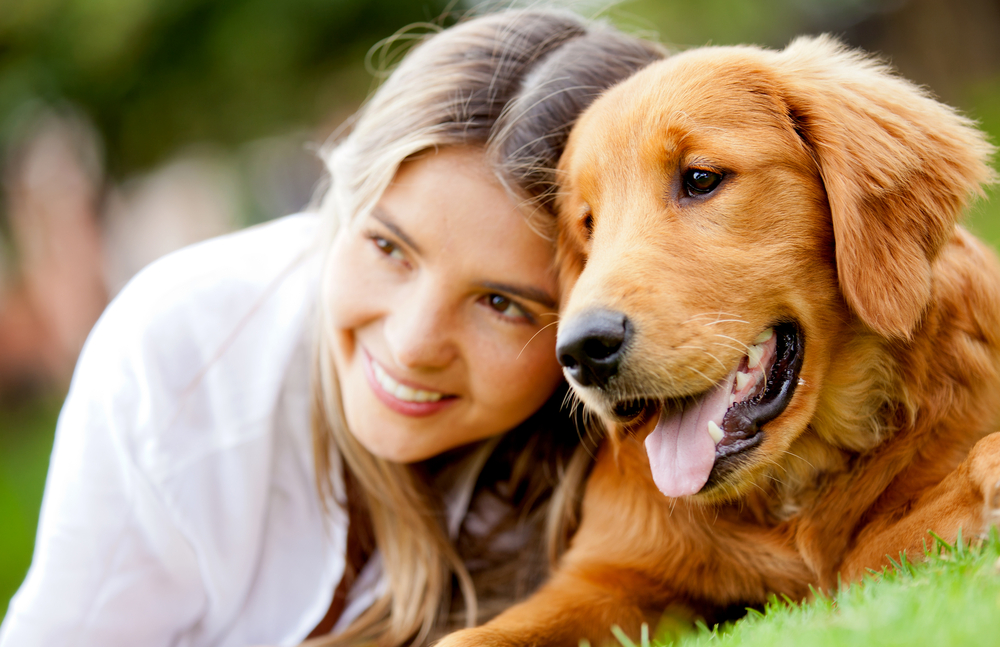 The importance of pet care and its insurance