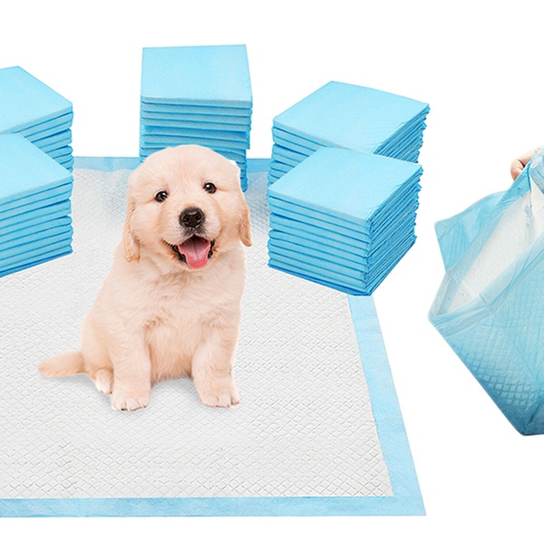 Puppy Training Pads – Good Accessories for Canine Pets