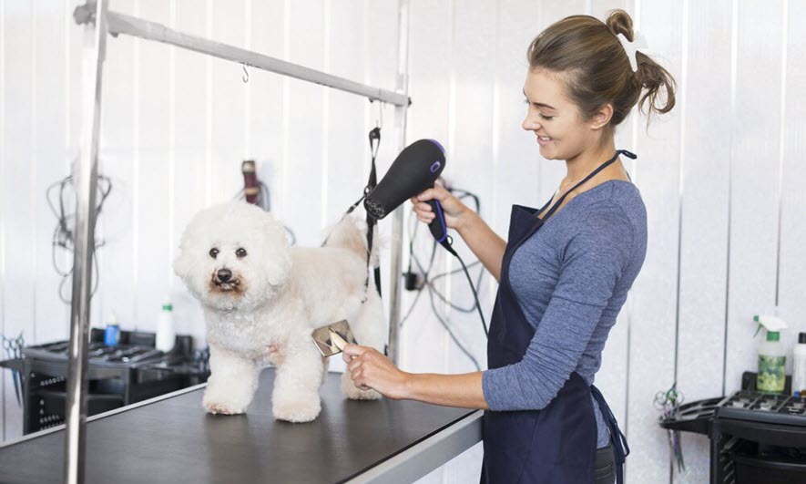 Dog grooming Pembroke Pines